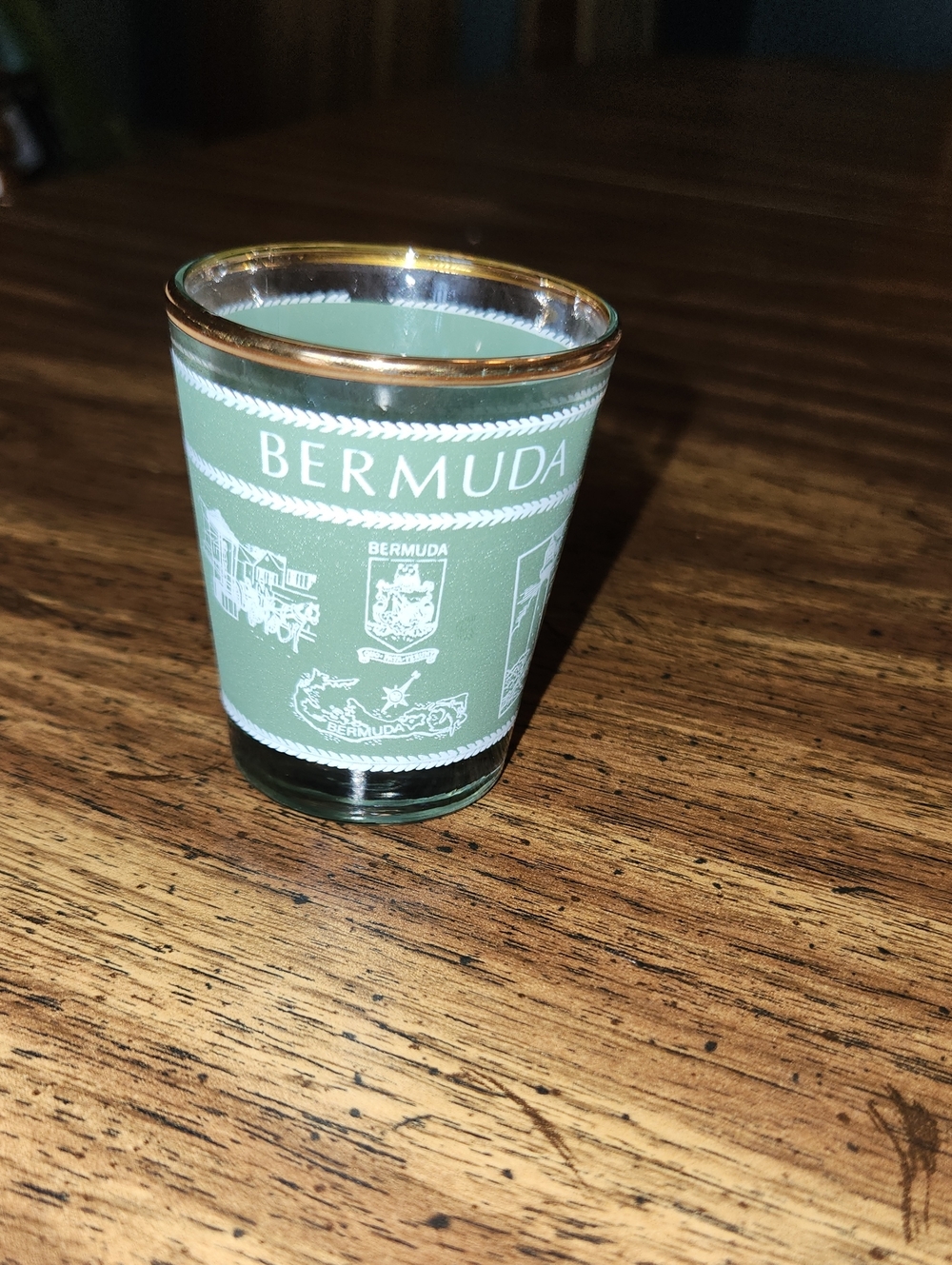 Bermuda Green Souvenir Shot Glass with Gold Rim